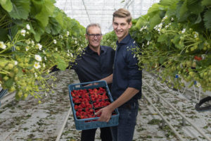 Vermeulen tuinbouw